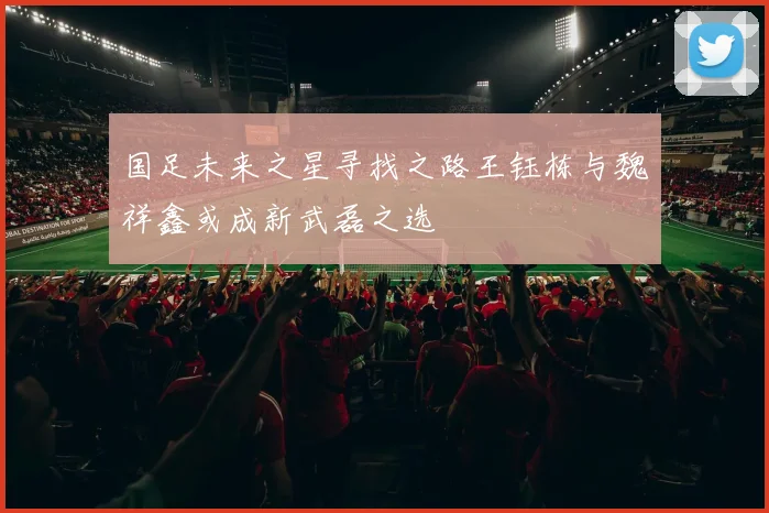 国足未来之星寻找之路王钰栋与魏祥鑫或成新武磊之选